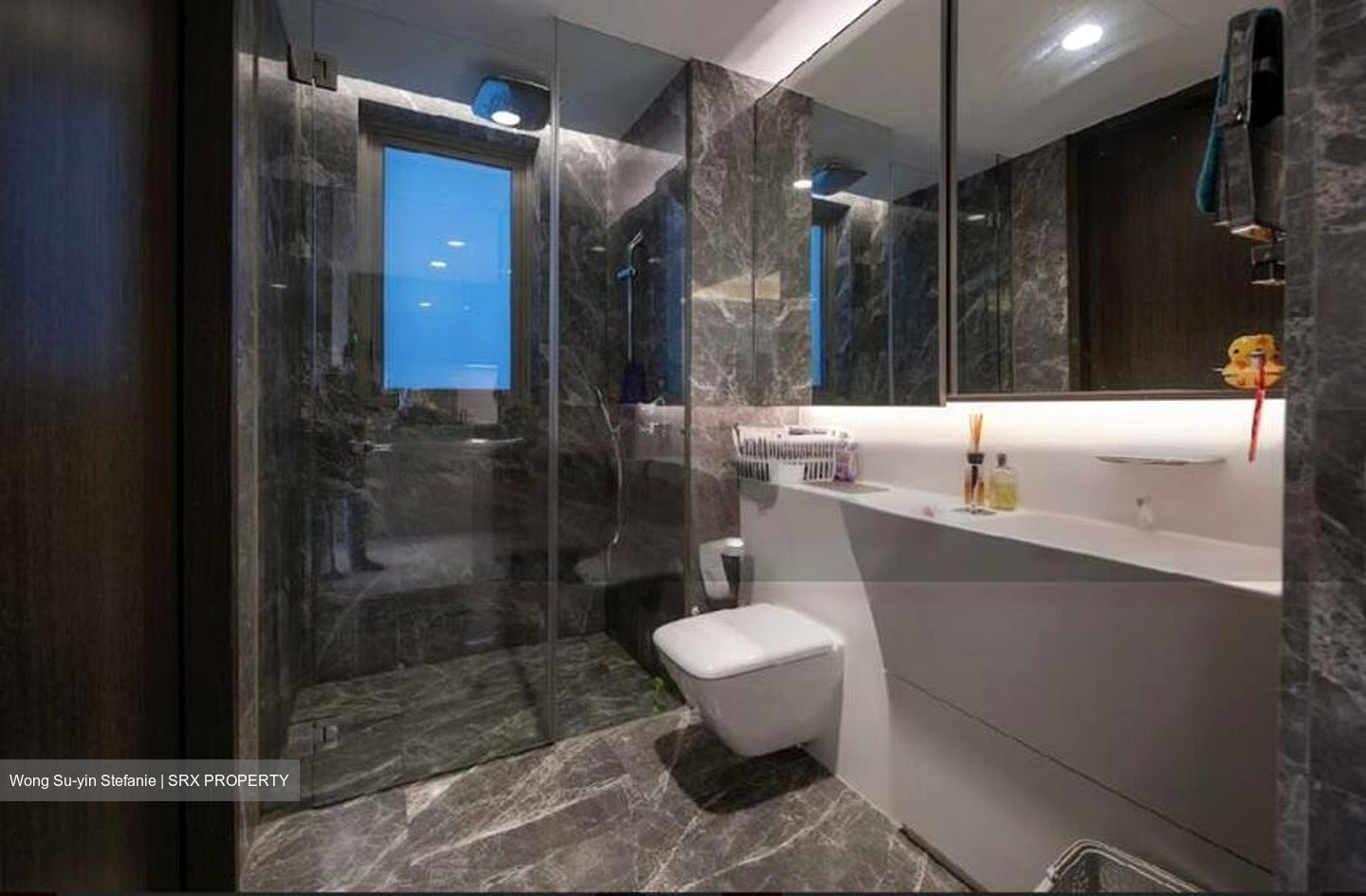 Cairnhill Nine (D9), Apartment #471346111